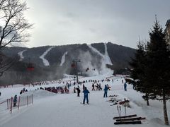 -亚布力新体委滑雪场