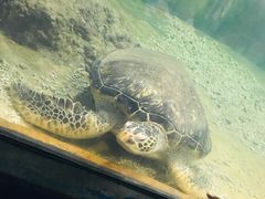 -苏州海洋馆