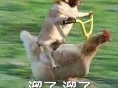 -梅岭漂流
