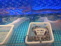-小金牛海鲜烧烤