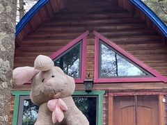 -洛阳白云山景区