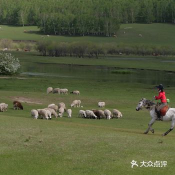 与小白的相遇是在乌兰布统葫芦诺日村 第一次遇见是在2