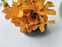 -止观小馆·辽河口渔家菜(王府井店)