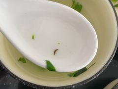 -红京鱼(西坝河店)