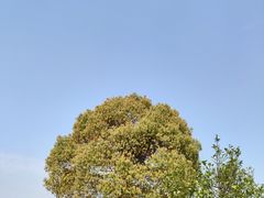 -艾溪湖湿地公园