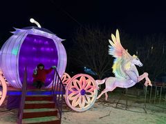 -沈阳奥体冰雪嘉年华