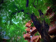-大佛古寺