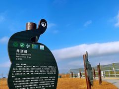 -盐城丹顶鹤湿地生态旅游区