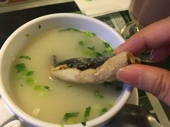 -翠华餐厅(湾仔店)