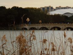 -昆山城市生态森林公园