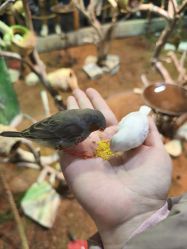 -Zoolung Zoolung动物主题公园(海信广场店)