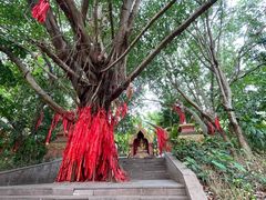 -曼听御花园