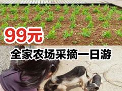 -前小桔亲子创意农场·草莓采摘·露营烧烤