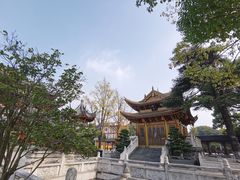 -上海东林寺(金山区)