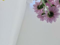 -DOS道肆(恒通国际创新园集装箱店)