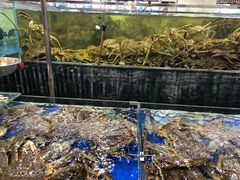 -东江海鲜酒家(艺都分店)