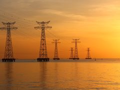 -宝安西湾红树林湿地公园