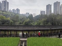 -龙头寺公园