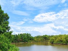 -上海海湾国家森林公园