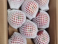 -上海龙吴水胜海发市场