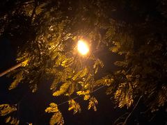 -西双版纳融创皇冠假日度假酒店