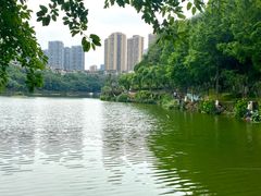 -重庆彩云湖湿地公园