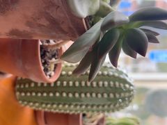 -AHAVA·Fang Baking Studio