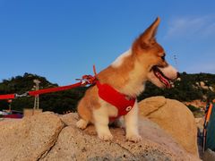 -大浪湾