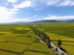 -扁都口生态休闲旅游区