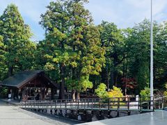 -北海道神宫