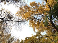 -四川大学(华西校区)