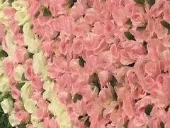 -武陵山森林公园