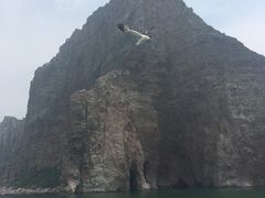 -长岛万鸟岛