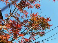 -常德桃花源景区