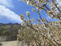 -阳台山自然风景区