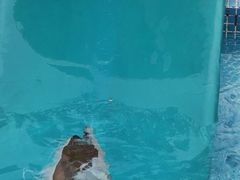 -黄金海岸水上乐园