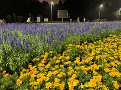 -长春公园(普阳街道)