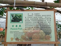 -上海都市菜园