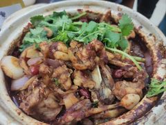 鸡鸡蛙蛙中煲-川香煲(茅台路店)