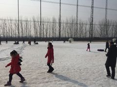 -万源龙顺度假庄园生态观光园