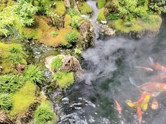-唐河王记·南阳民间菜(国基路店)