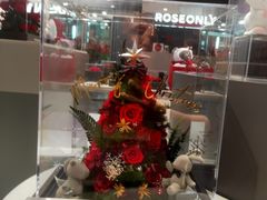 -ROSEONLY诺誓(国际广场购物中心店)