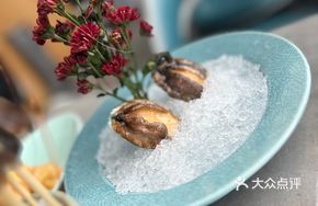 5-Head Abalone