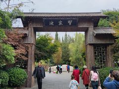 -习家池