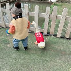 -上美四季动物农场