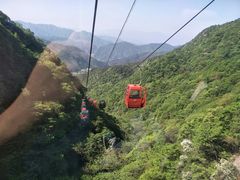 -王顺山国家森林公园