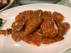 -利苑酒家(金宝店)