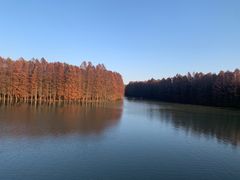 -上海海湾国家森林公园