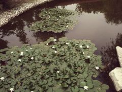 android_upload_pic-宁波九龙湖开元度假村