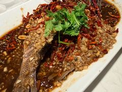 -杨氏青龙虾·羊蝎子(托乐嘉店)